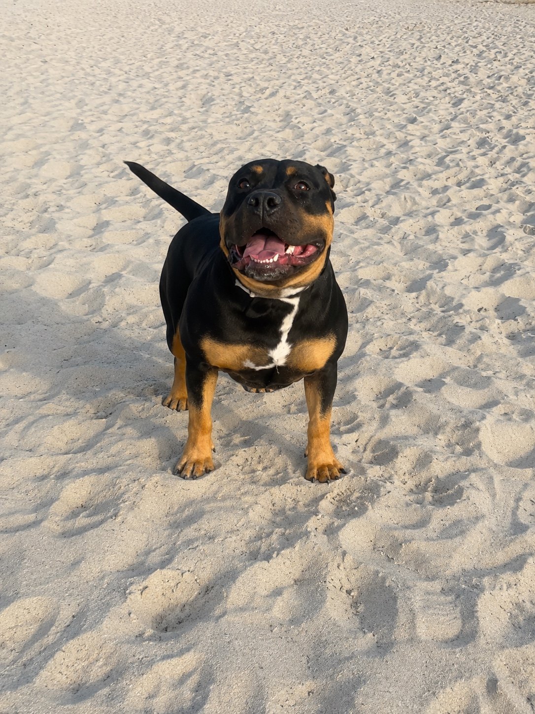 Tempest at the beach