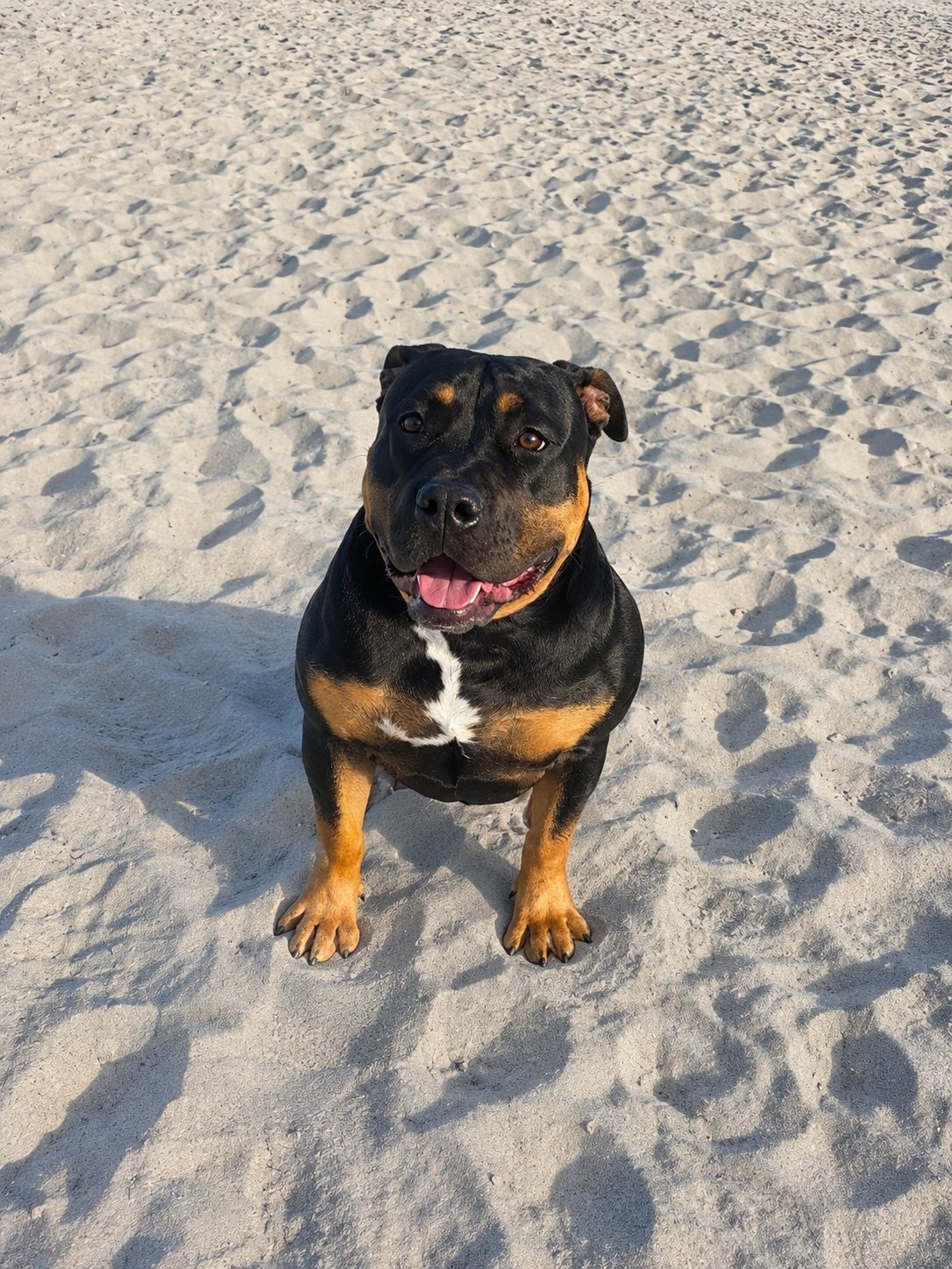Tempest at the beach