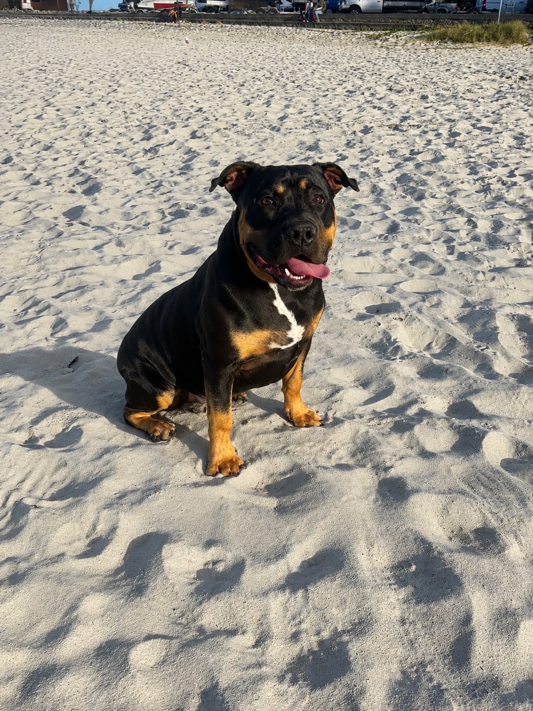 Tempest at the beach