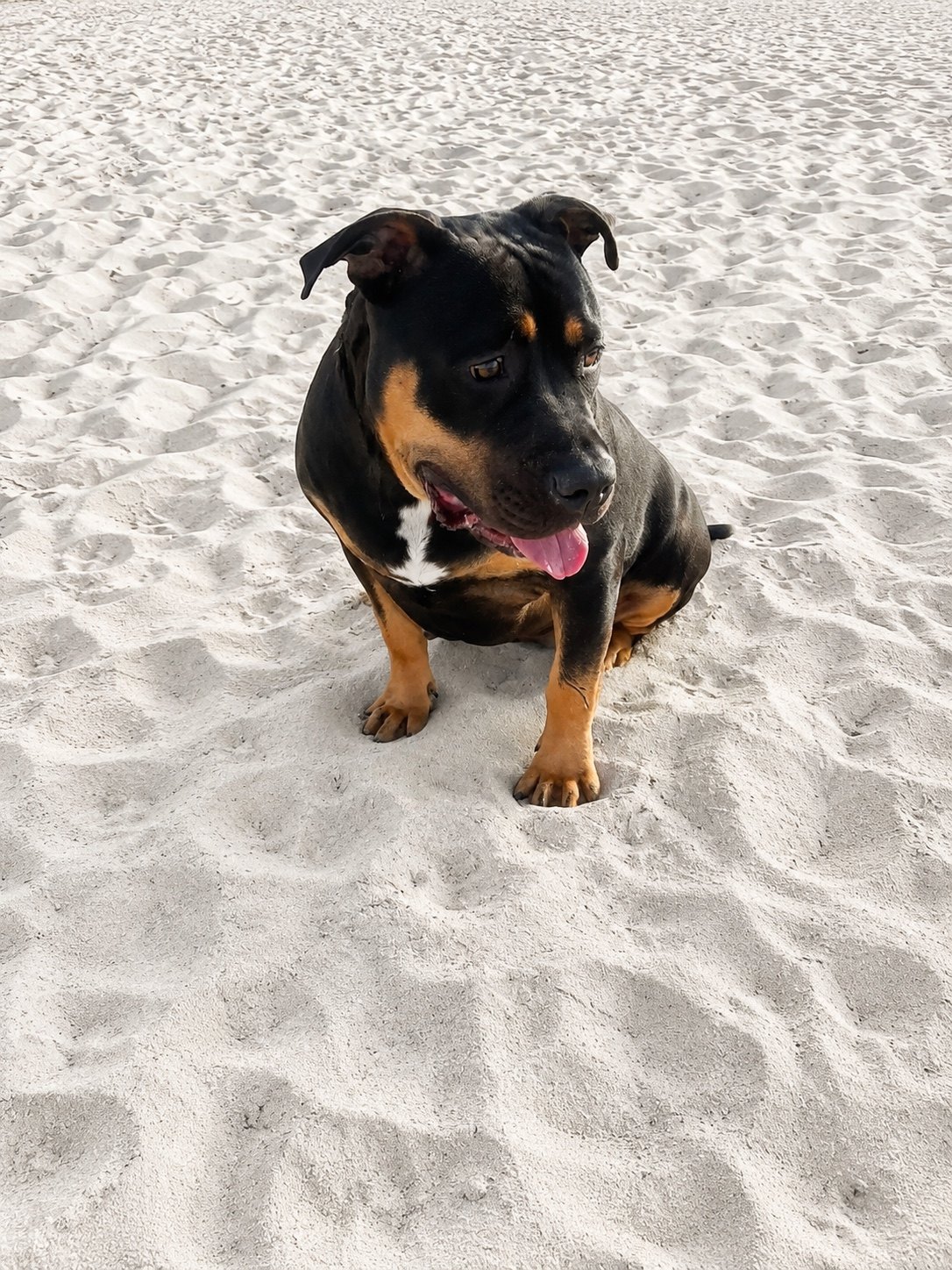 Tempest at the beach