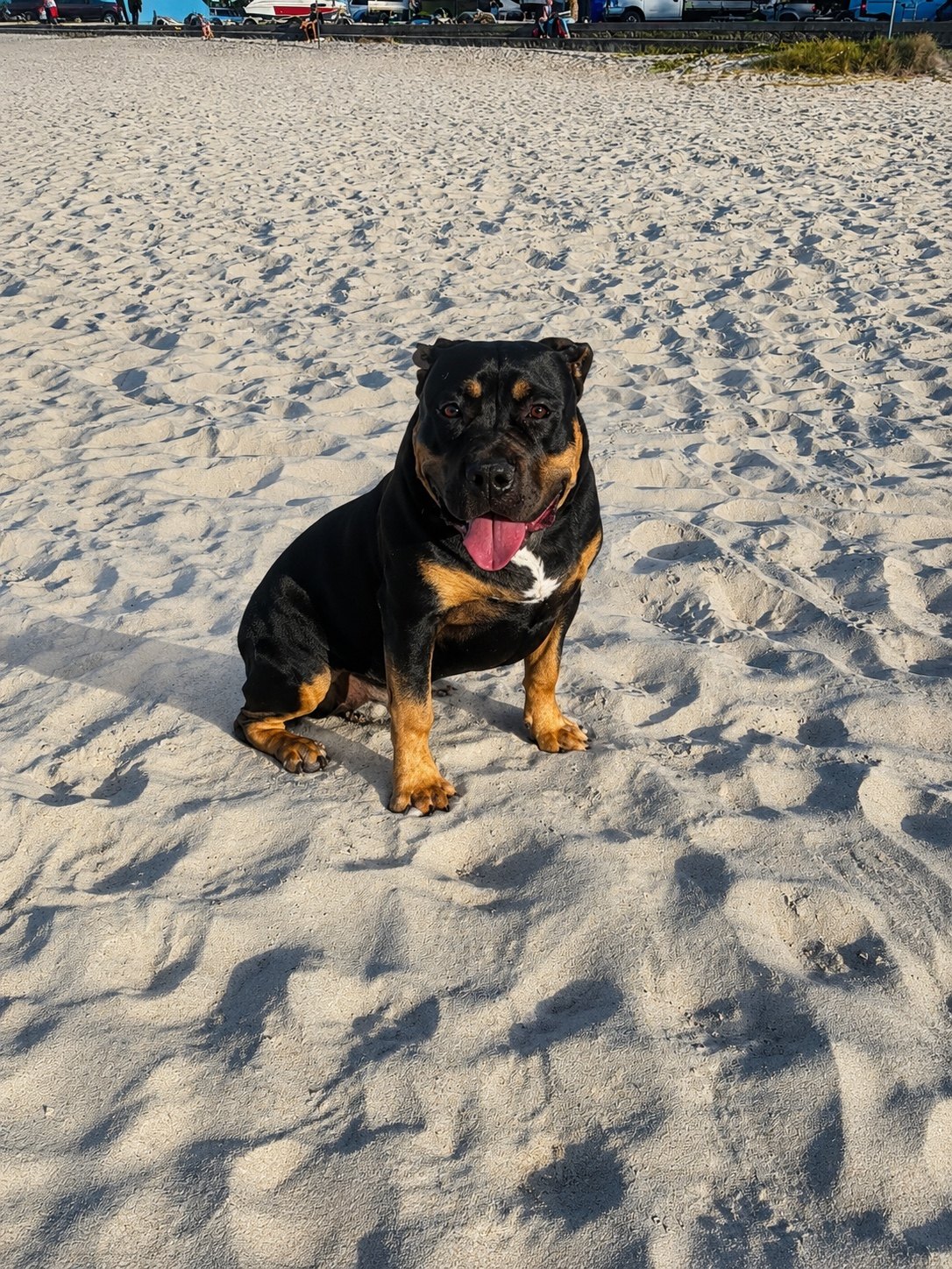 Tempest at the beach