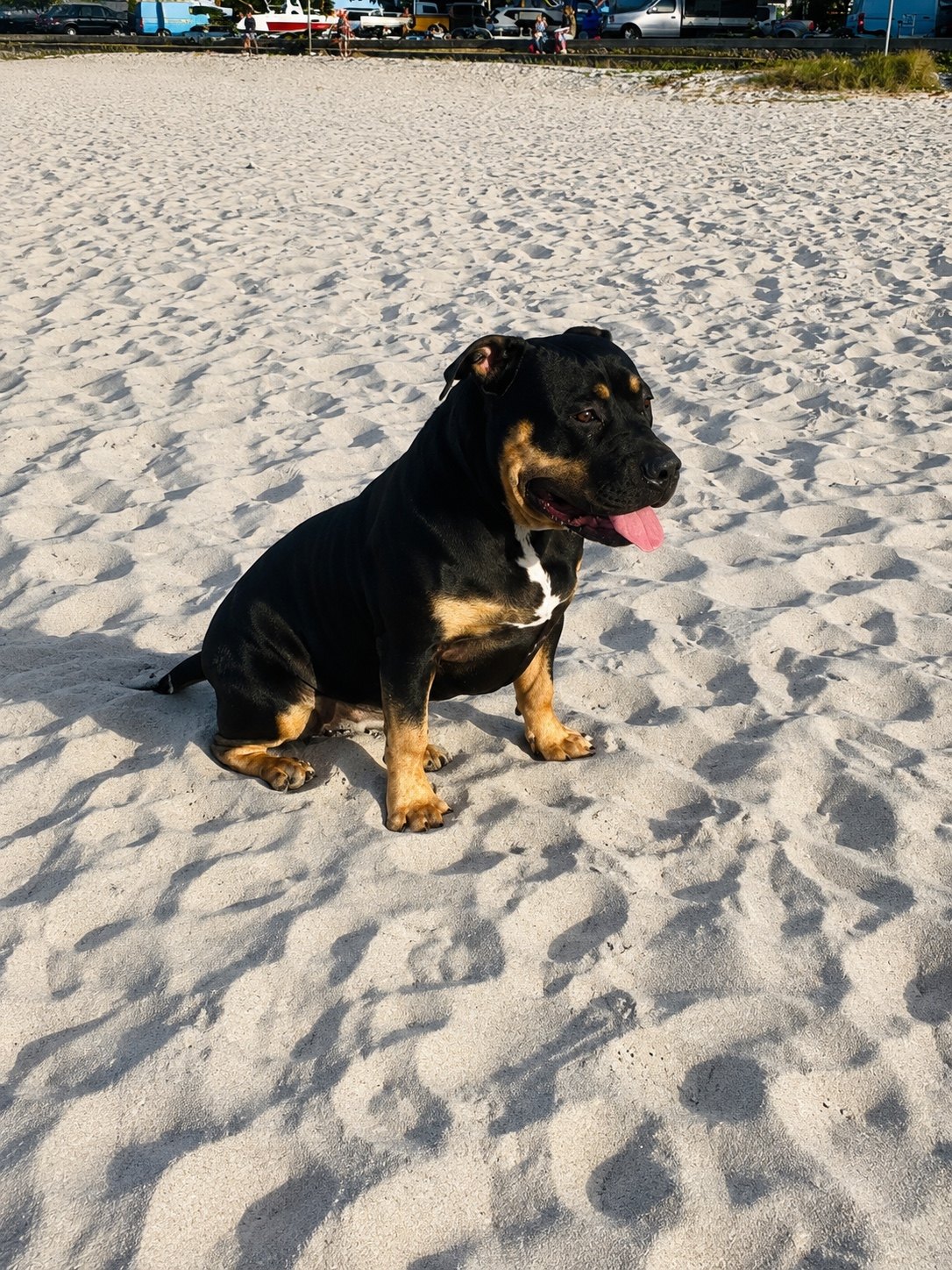 Tempest at the beach