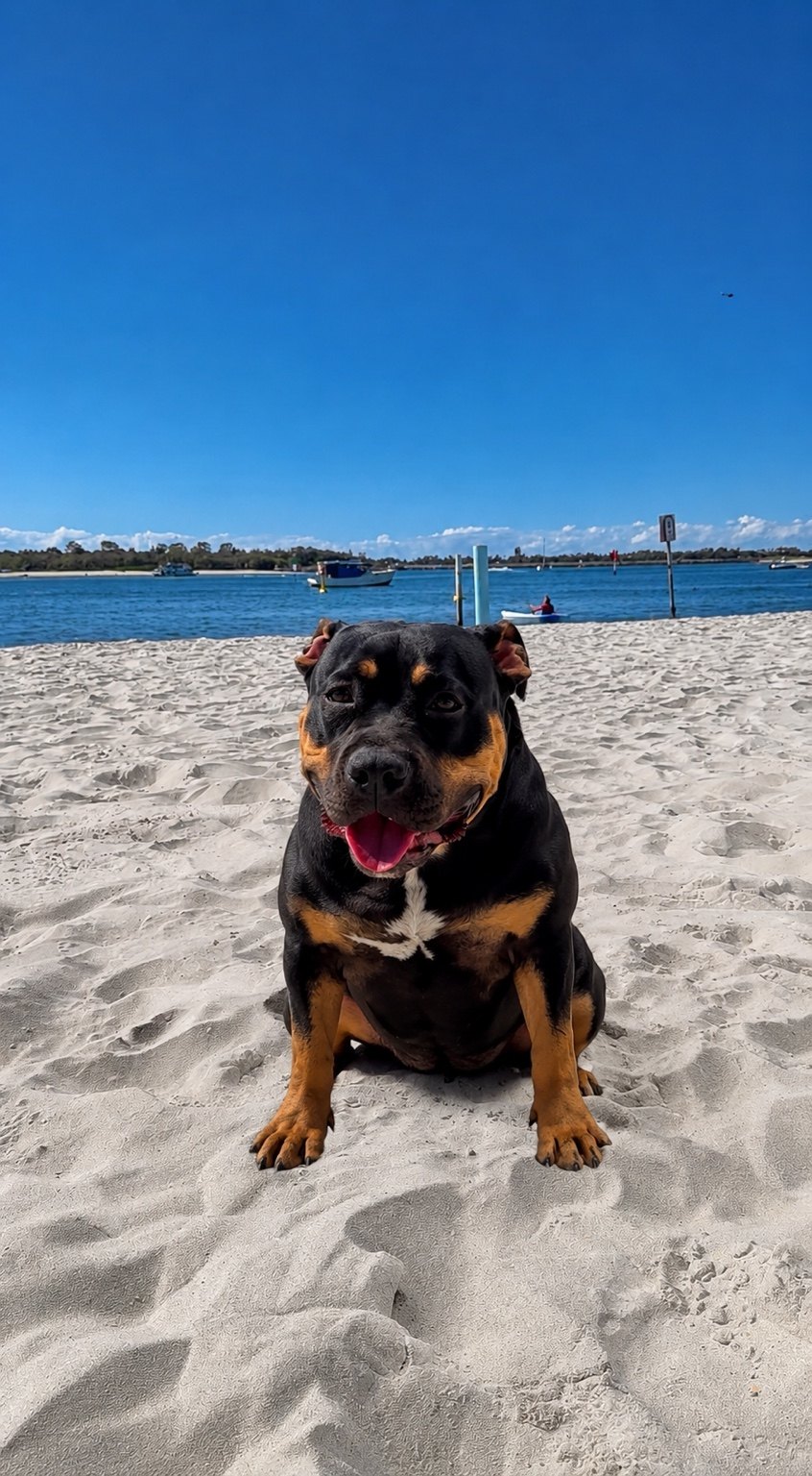Tempest at the beach