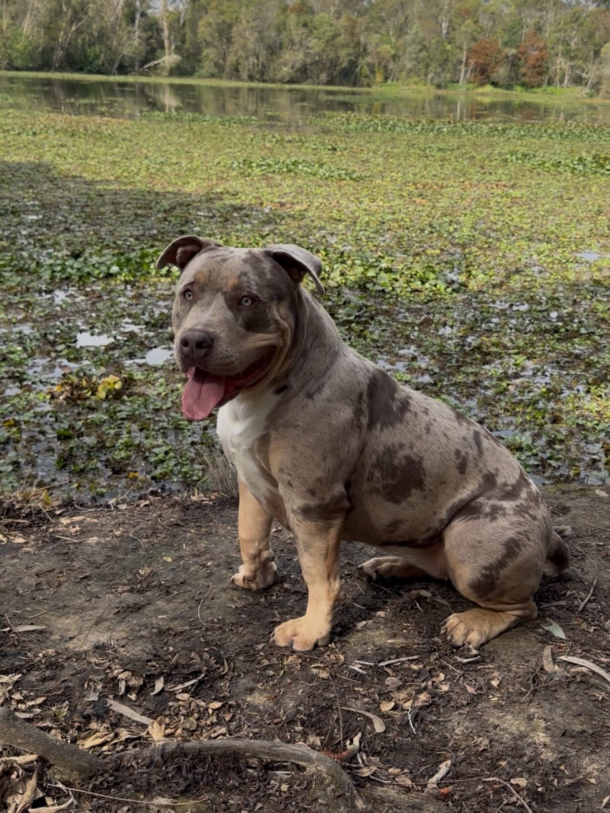 Mythorakle Xena